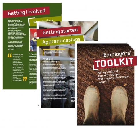 Employers' toolkit pages