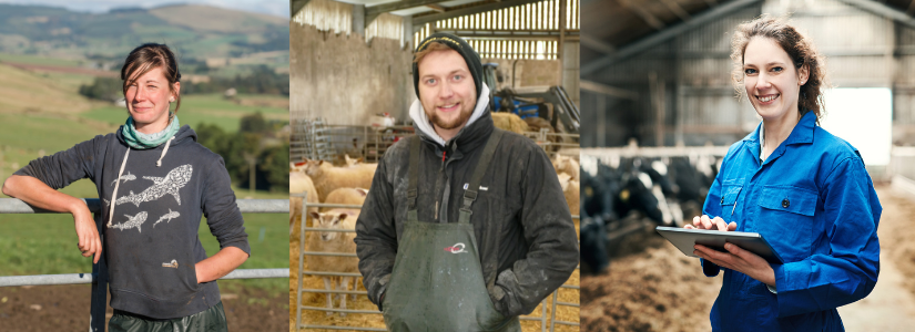 Three young people working in agriculture