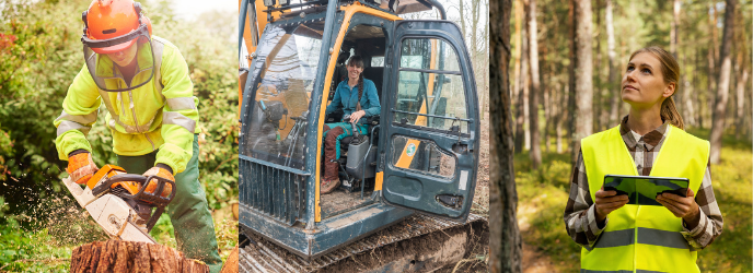 Images of women working in forestry