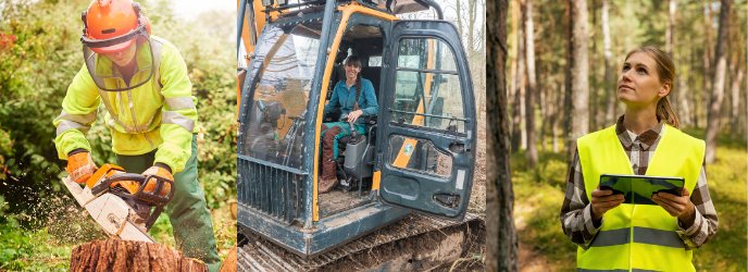 Three women working in forestry