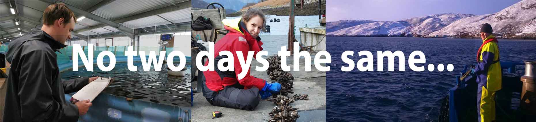 No two days the same in aquaculture No two days the same in aquaculture
