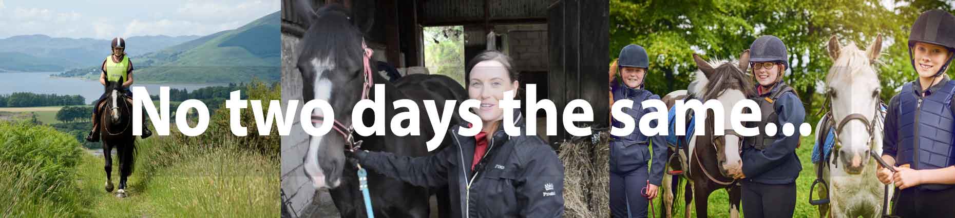No two days the same in equine No two days the same in equine