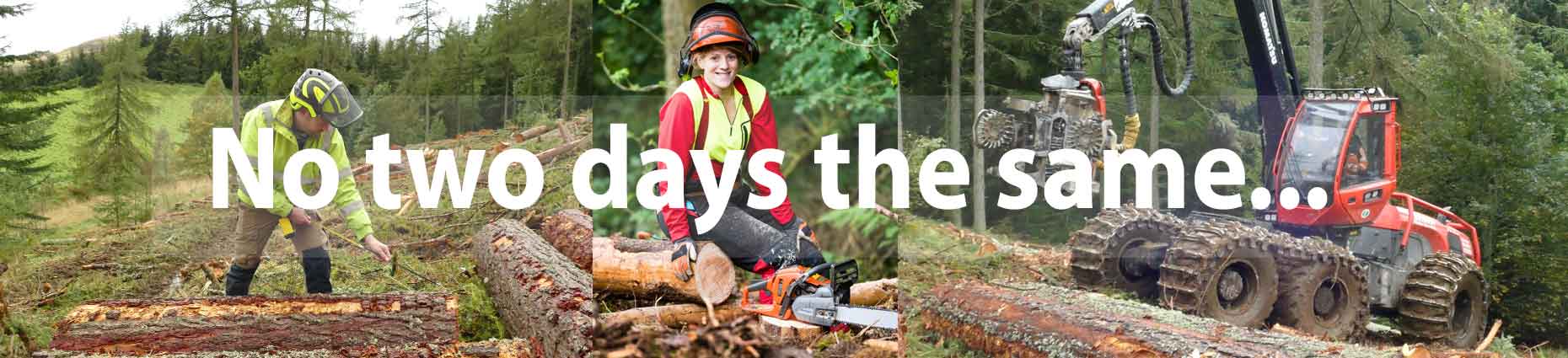 No two days the same in forestry No two days the same in forestry