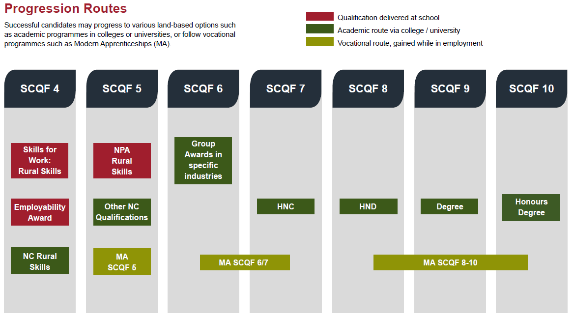 Progression routes from school qualifications