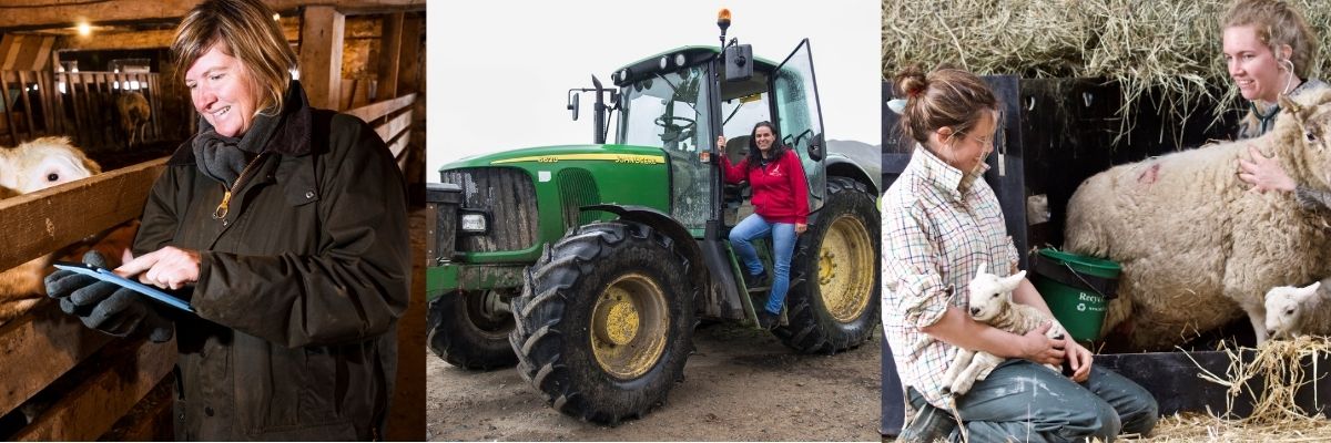 Women in agriculture