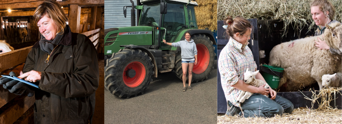 Women working in agriculture