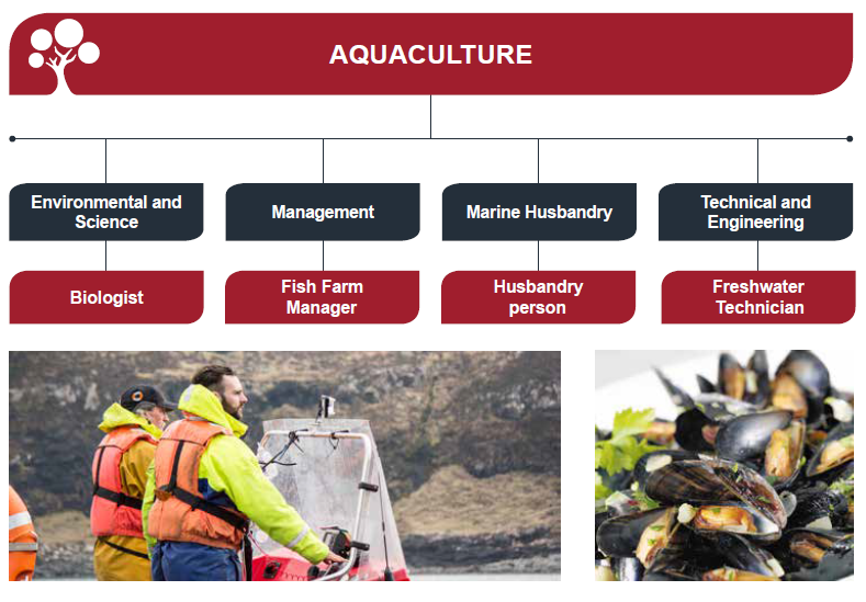 Jobs in aquaculture