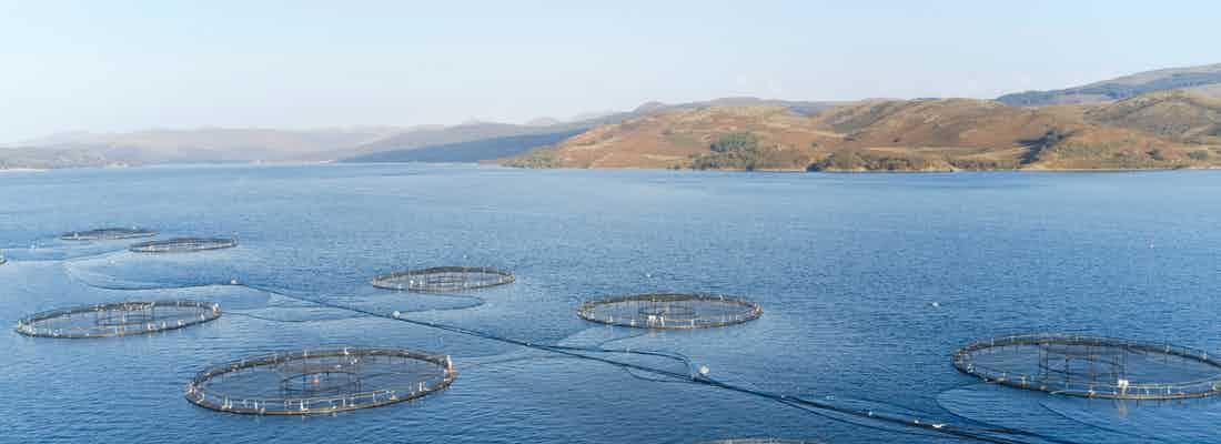 fish farm pens on coast of Scotland