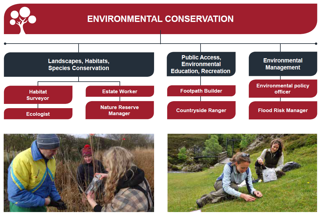 Jobs in environmental conservation
