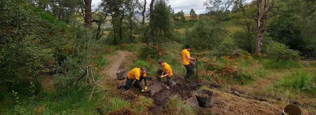 men in yellow t-shirts building a path in national park