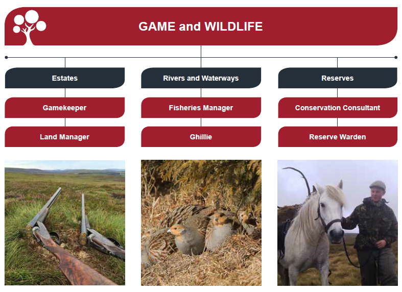 jobs in game and wildlife management