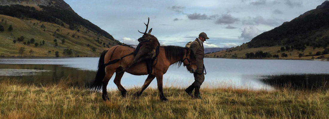 deer being carried on a pony next Scottish loch