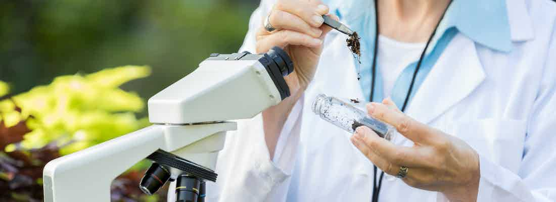 botanist taking soil samples for microscope