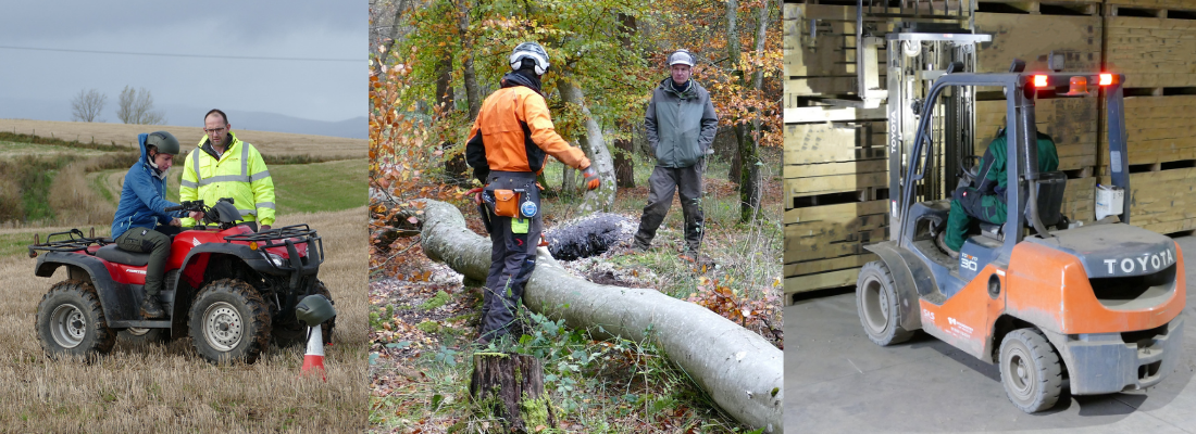 Instructors with ATV chainsaw and forklift with trainees