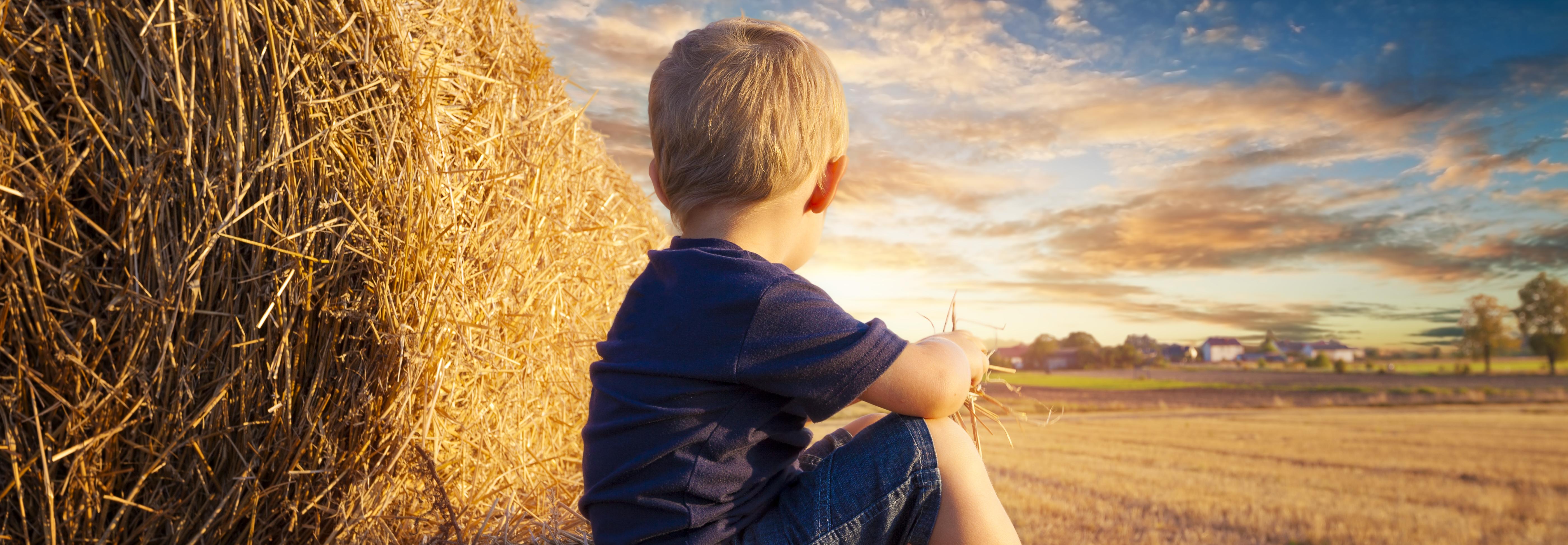 Boy sitting on bale in field