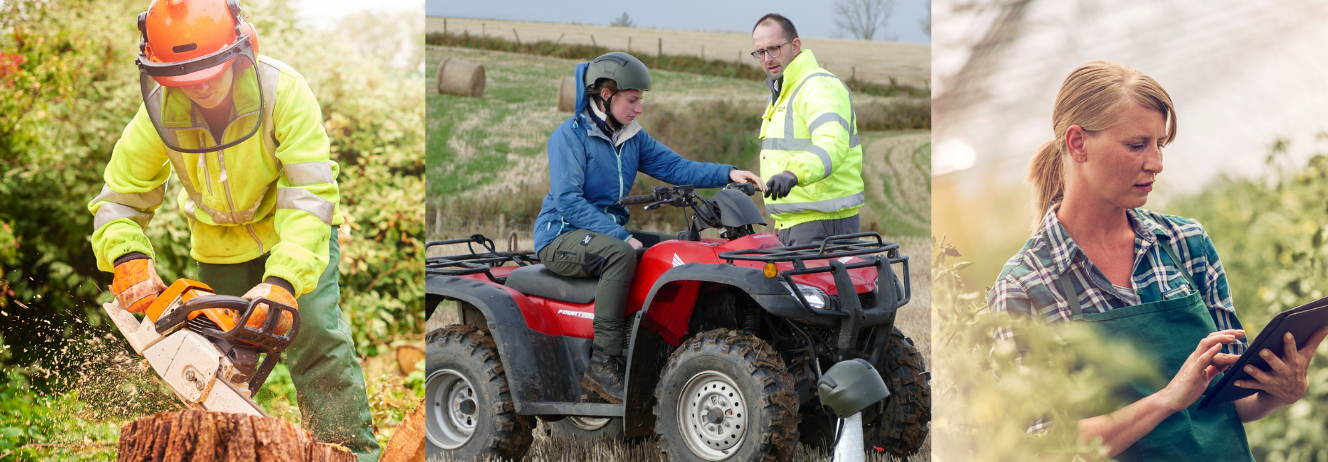 Women working in rural jobs