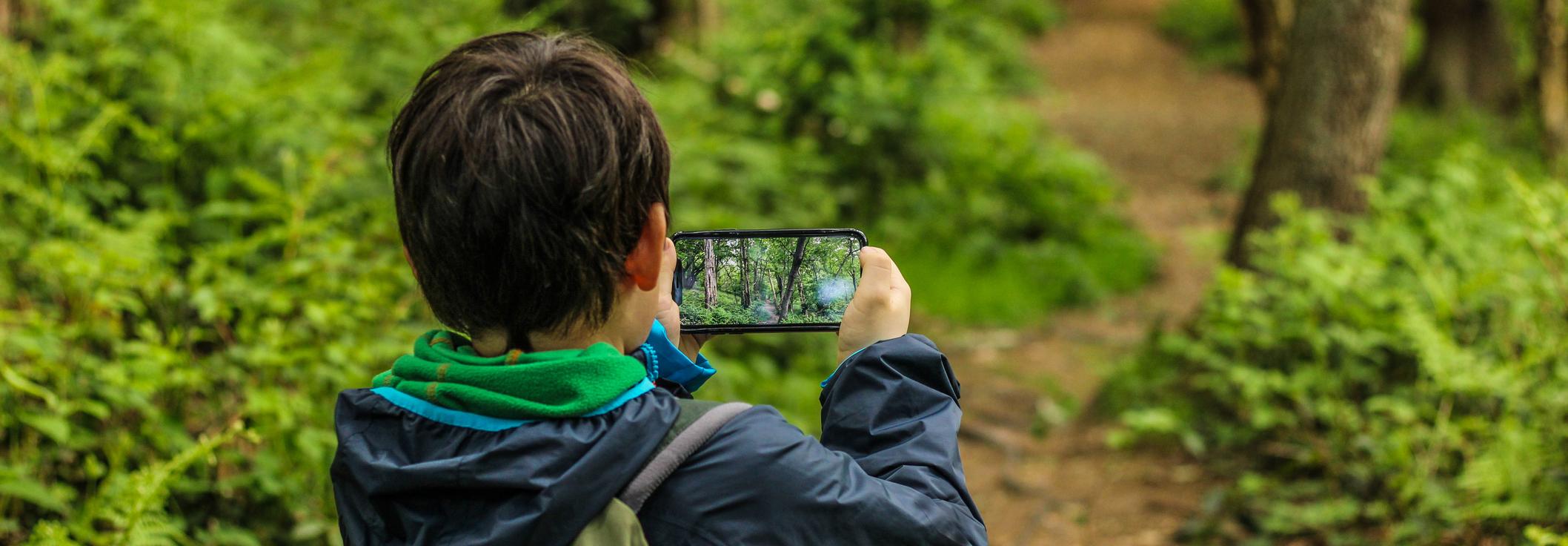 child using mobile phone in forest in article about amount of outdoor learning that pupils get