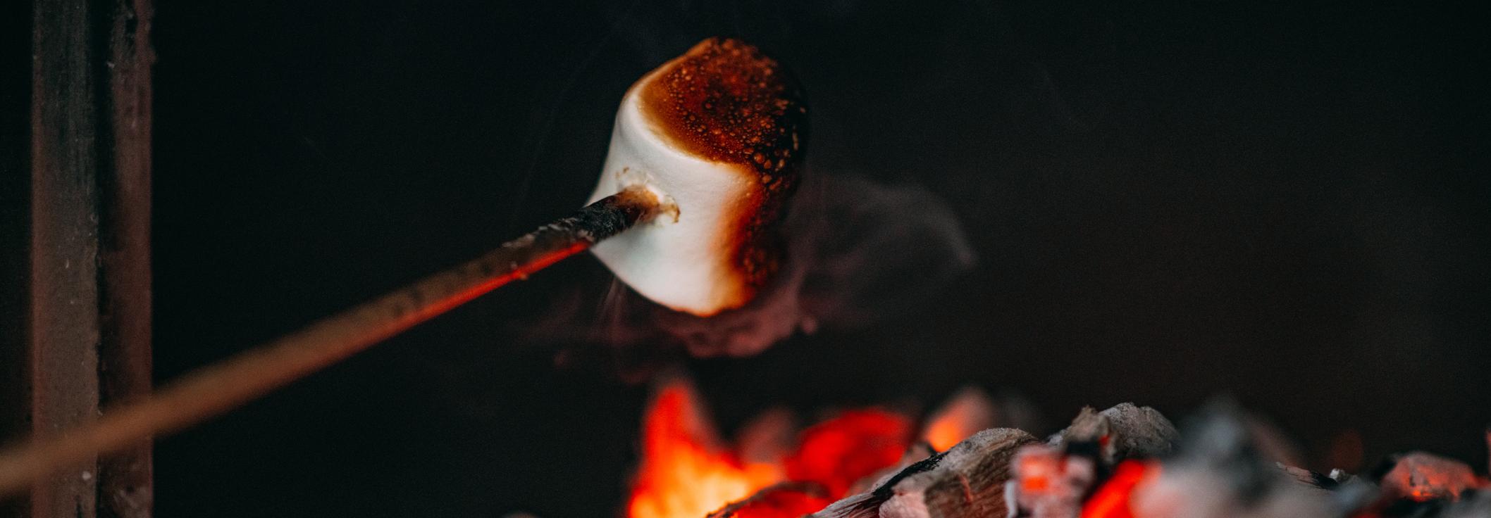 Marshmallow toasting on fire