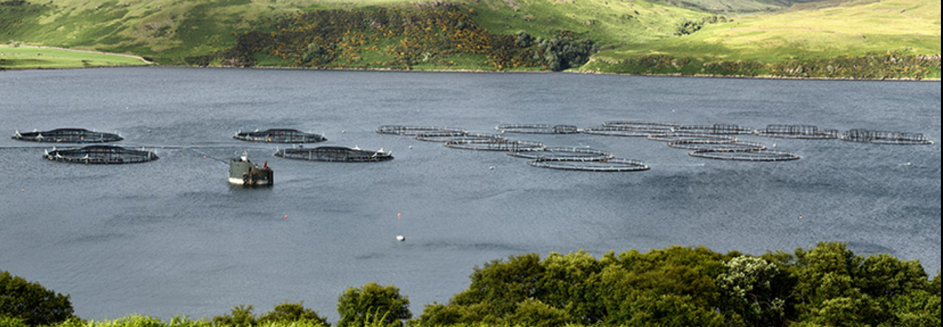 Scottish loch with aquaculture fish tank storage