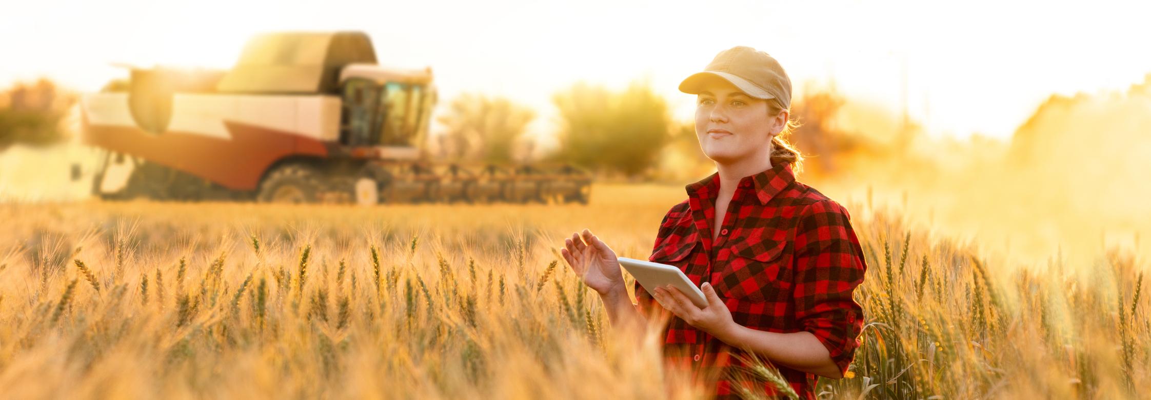 Female farmer in field of ripe crops with combine in background