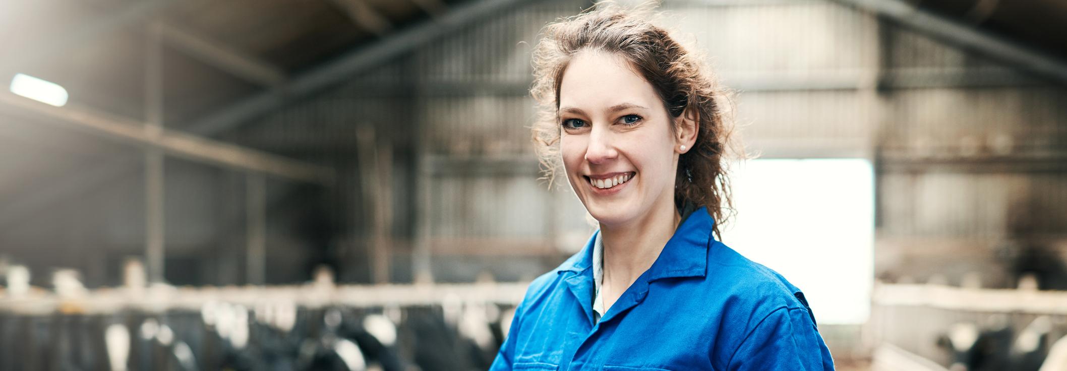 Woman in blue boiler suit using tablet in cow shed