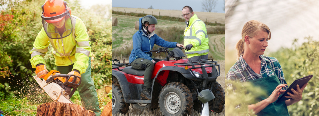 Three women working in outdoors