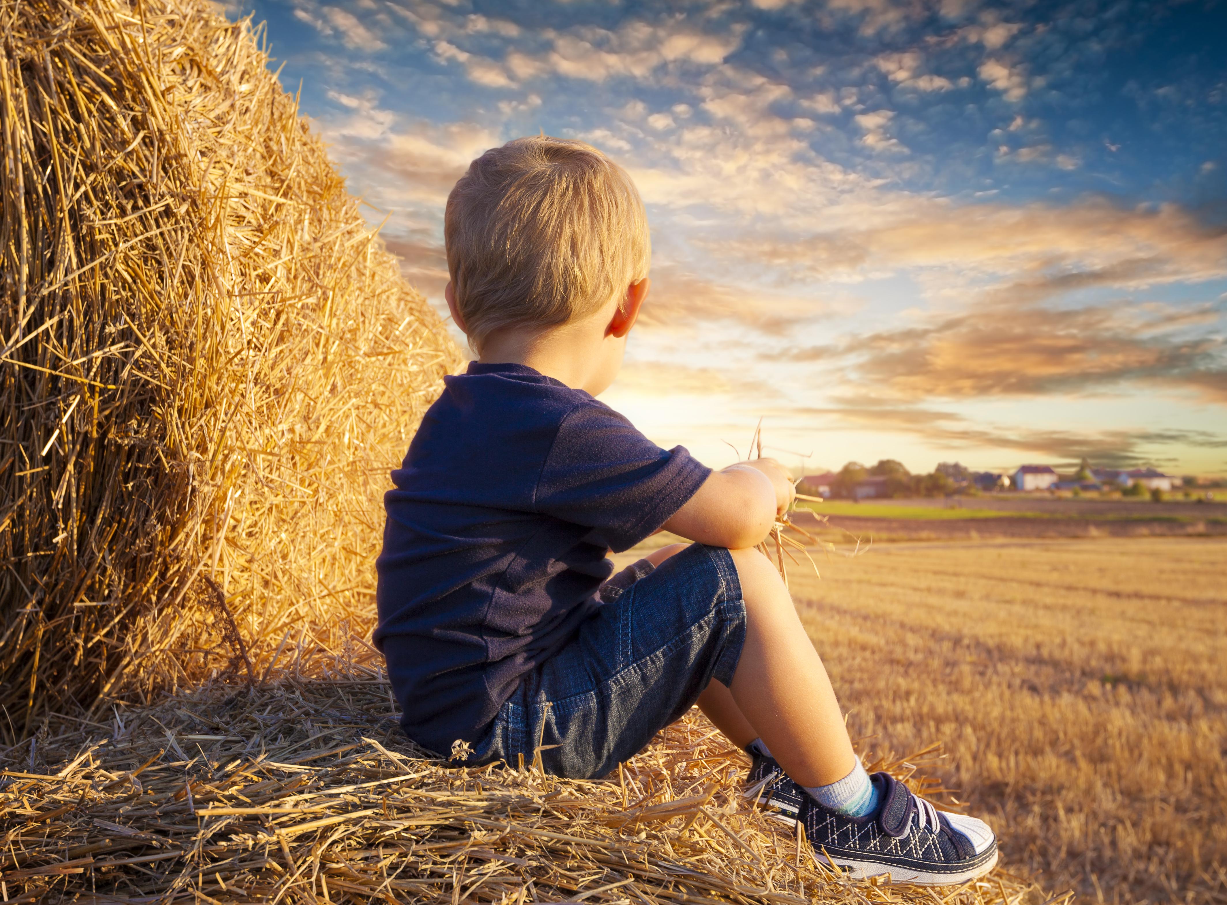Boy sitting on bale in field