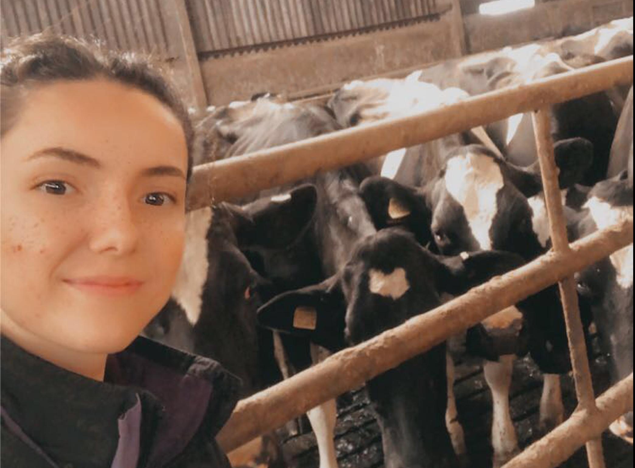 Heather finds work at dairy farm through skills matching service