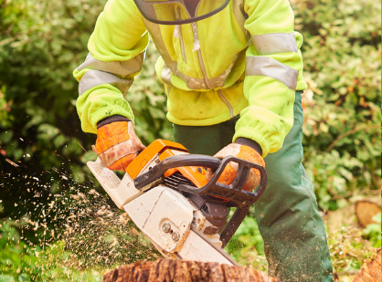 Women working in rural jobs