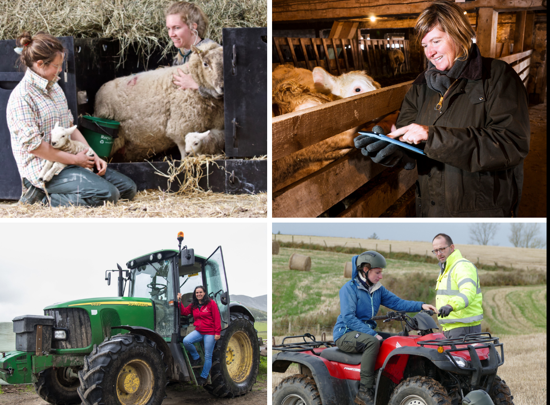 Women working in agriculture