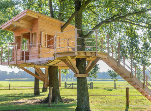 treehouse and fishfarm