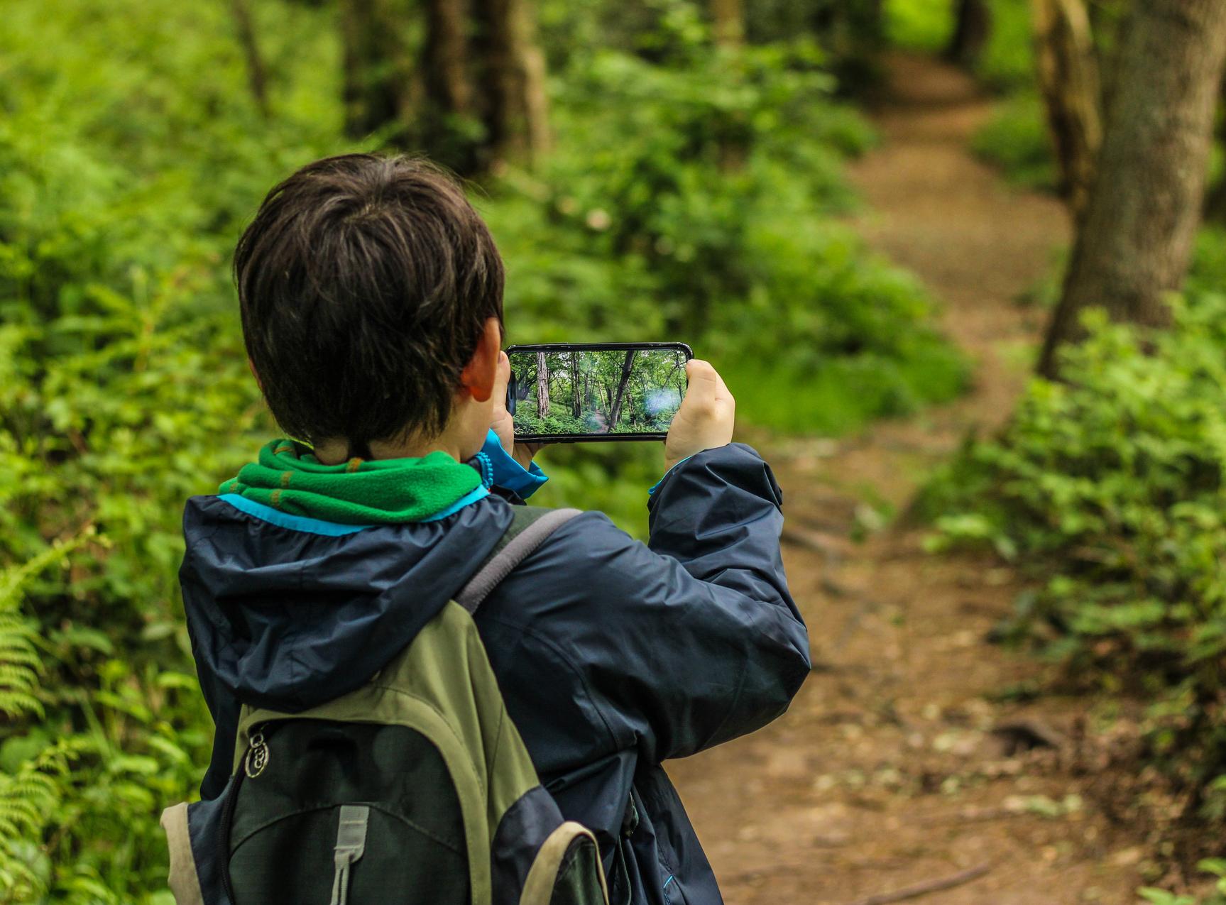 child using mobile phone in forest in article about amount of outdoor learning that pupils get