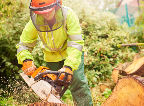 Women in forestry funding for training