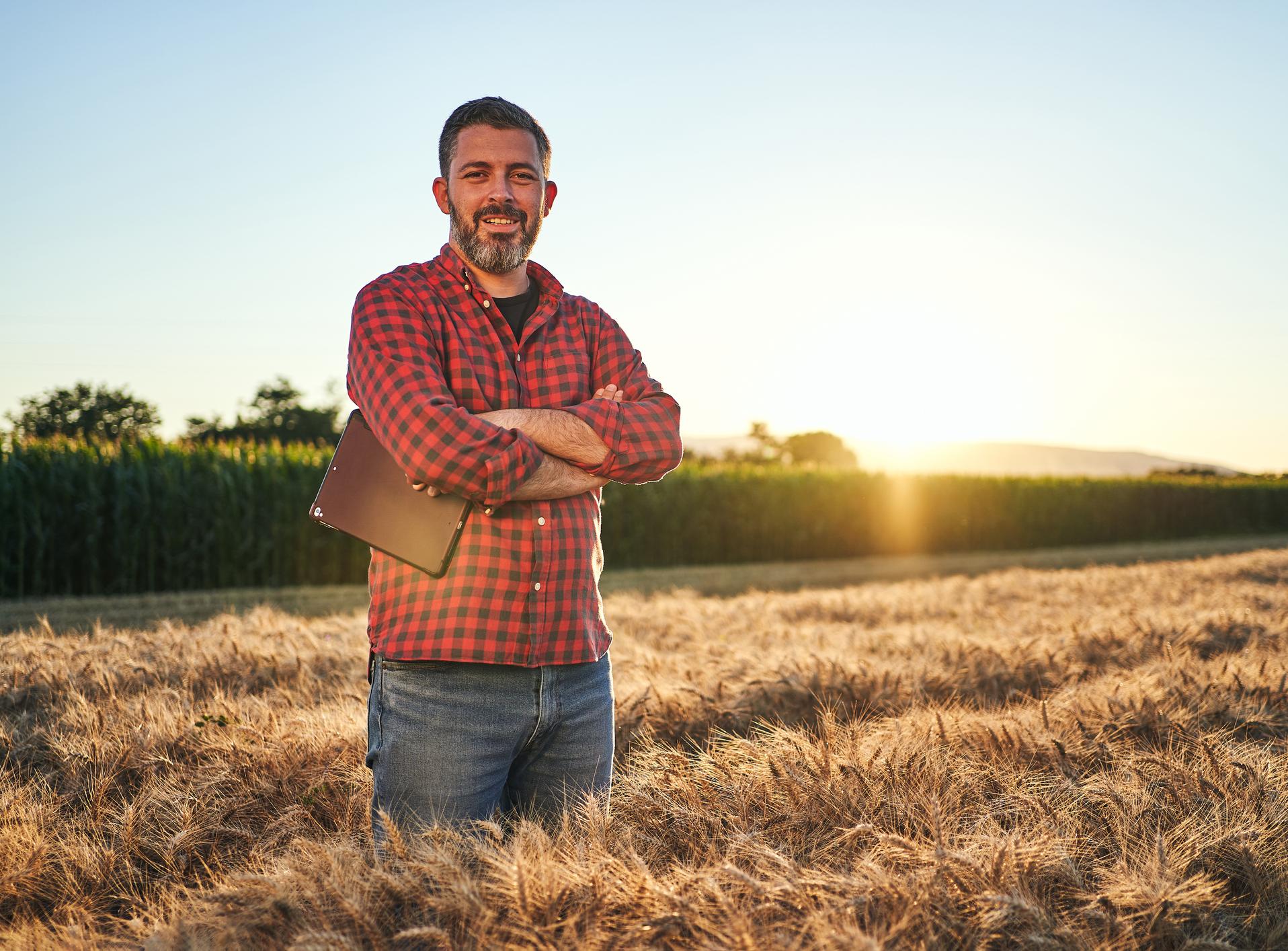 Agronomist in field of crops with tablet