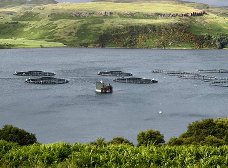 Scottish loch with aquaculture fish tank storage