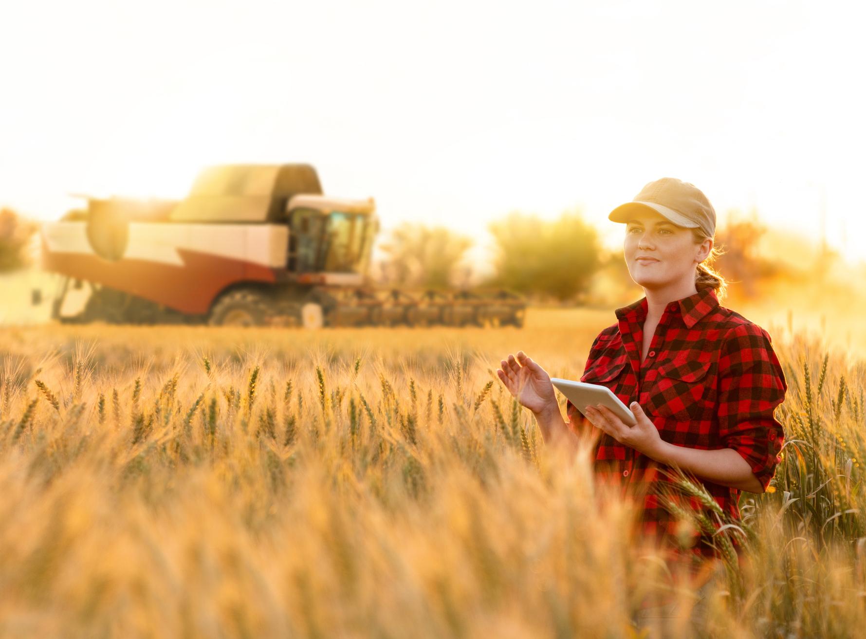 Female farmer in field of ripe crops with combine in background