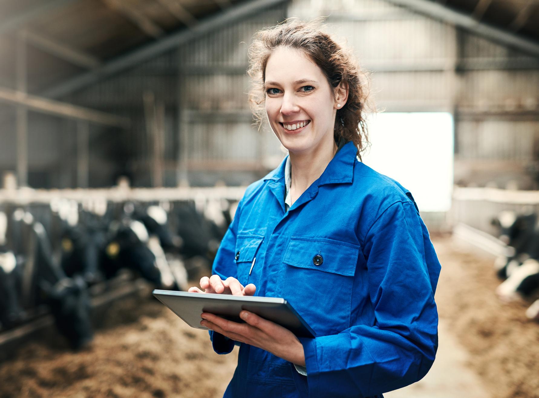 Woman in blue boiler suit using tablet in cow shed