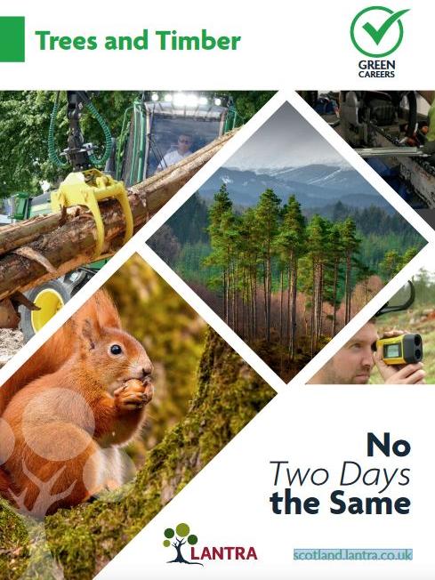 Careers brochure for trees and timber