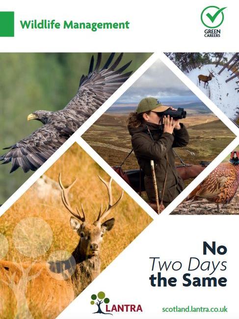 Careers brochure for wildlife management