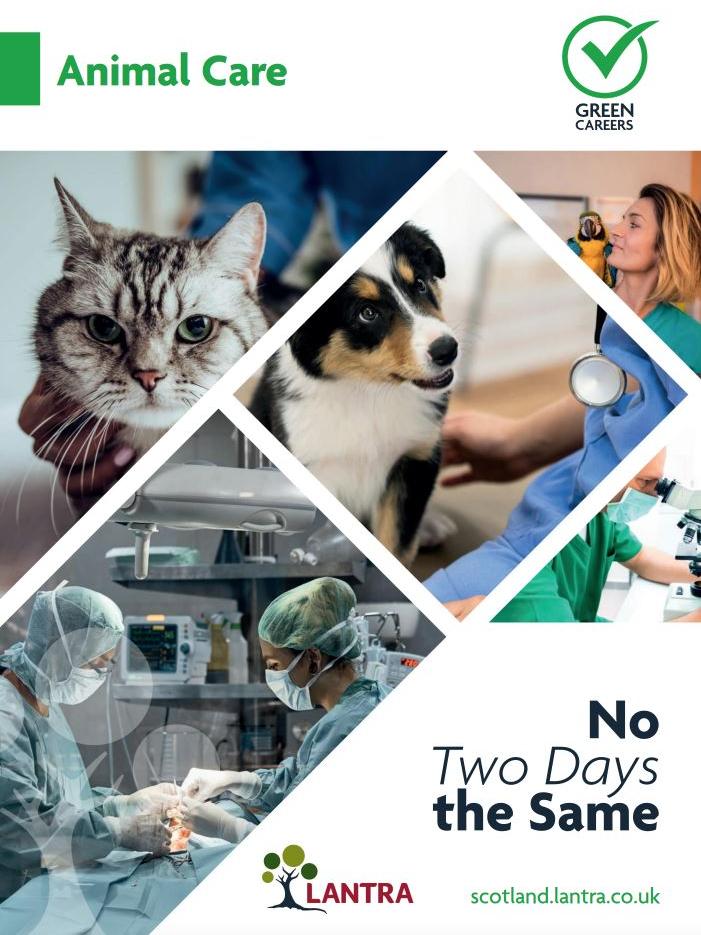 Images of animal care from careers brochure