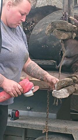Alice Foulds: self-employed cattle foot trimmer