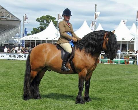 Ashleigh Campbell, Owner of Castle View Stables