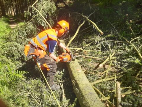 Cameron Murray with chainsaw