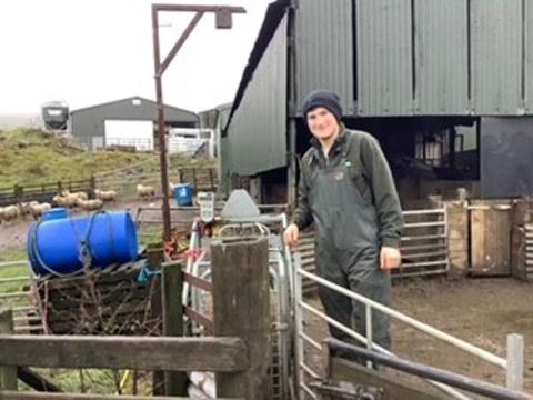 Denny HS pupil Stewart with sheep