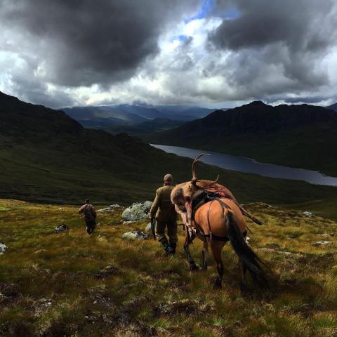 Deer stalking on a Highland Estate