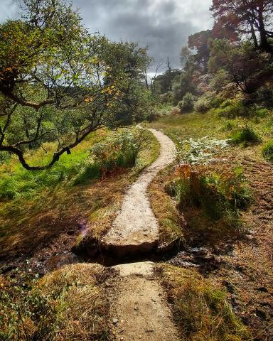 Completed access path to Scottish mountains in national park