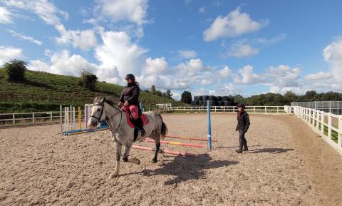 Horse riding in school with instructor Horse riding in school with instructor