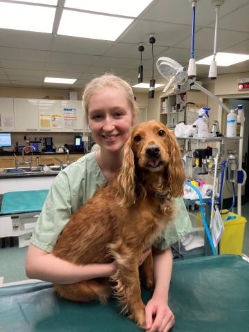 Vet nurse Katie Turner at work with canine client