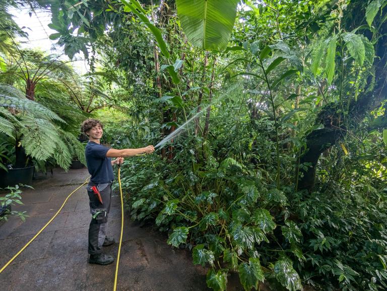Patricia Berakova: a career in horticulture 