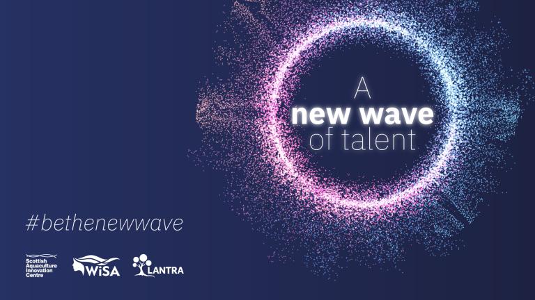 A New Wave of Talent Widescreen